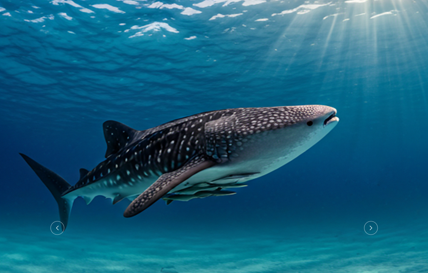 People for Conservation