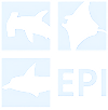 Elasmobranchid