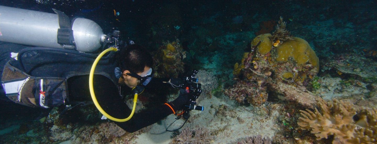 Whale shark conservation