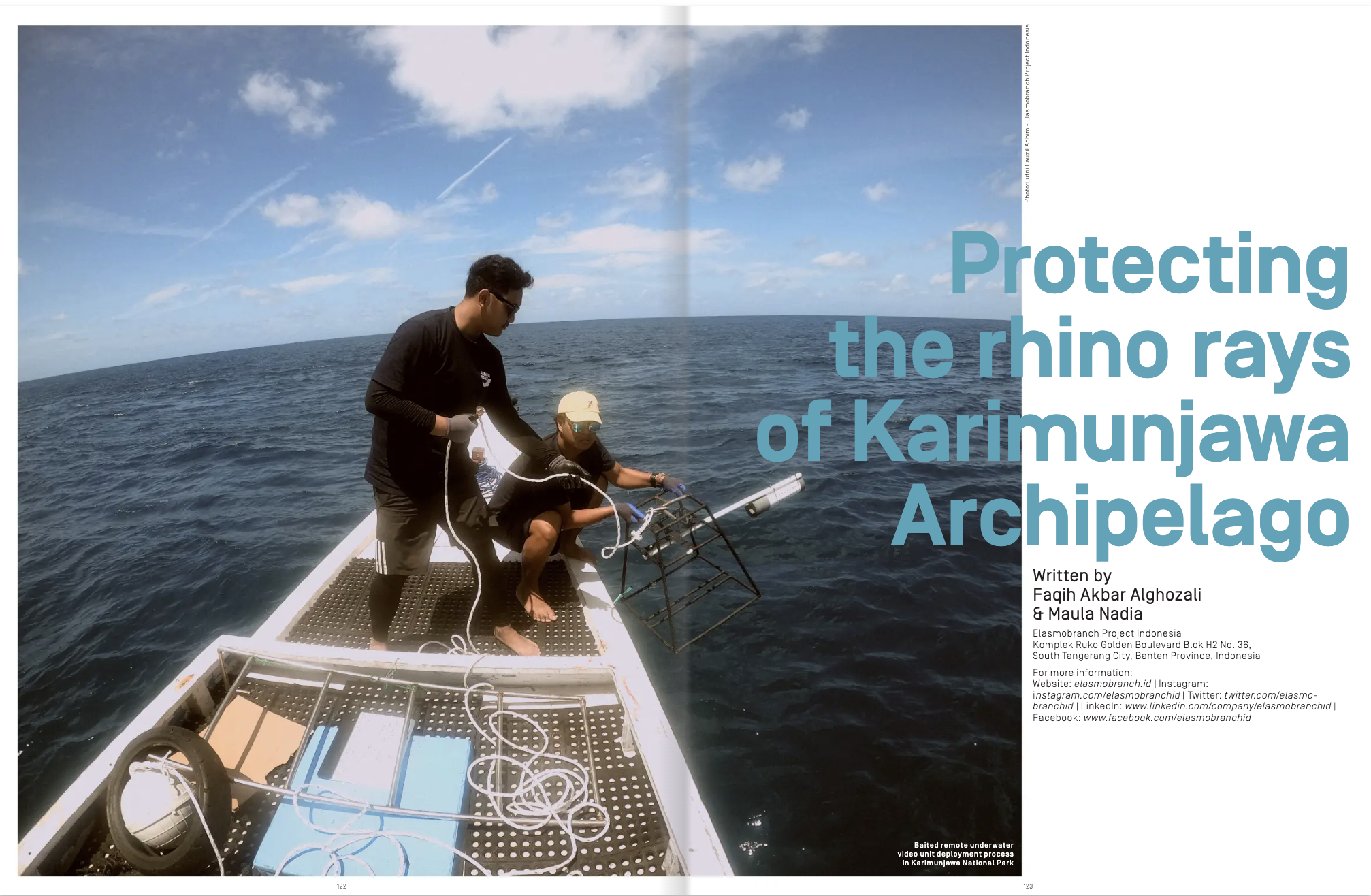 Protecting the rhino rays of Karimunjawa Archipelago