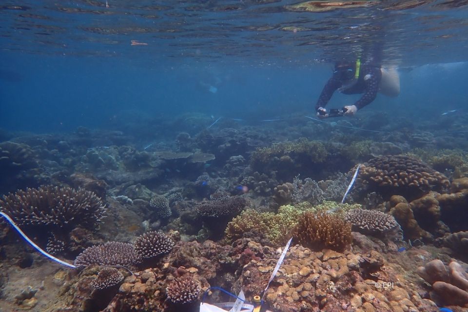Habitat survey