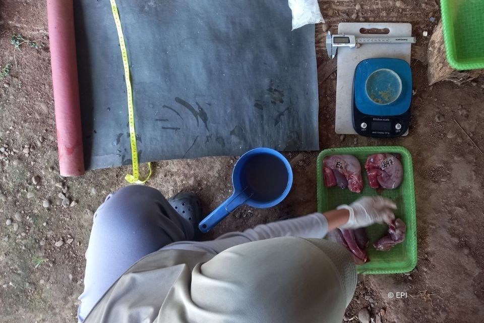 Diet and reproduction study